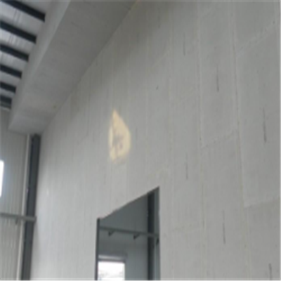 城关宁波ALC板|EPS加气板隔墙与混凝土整浇联接的实验研讨